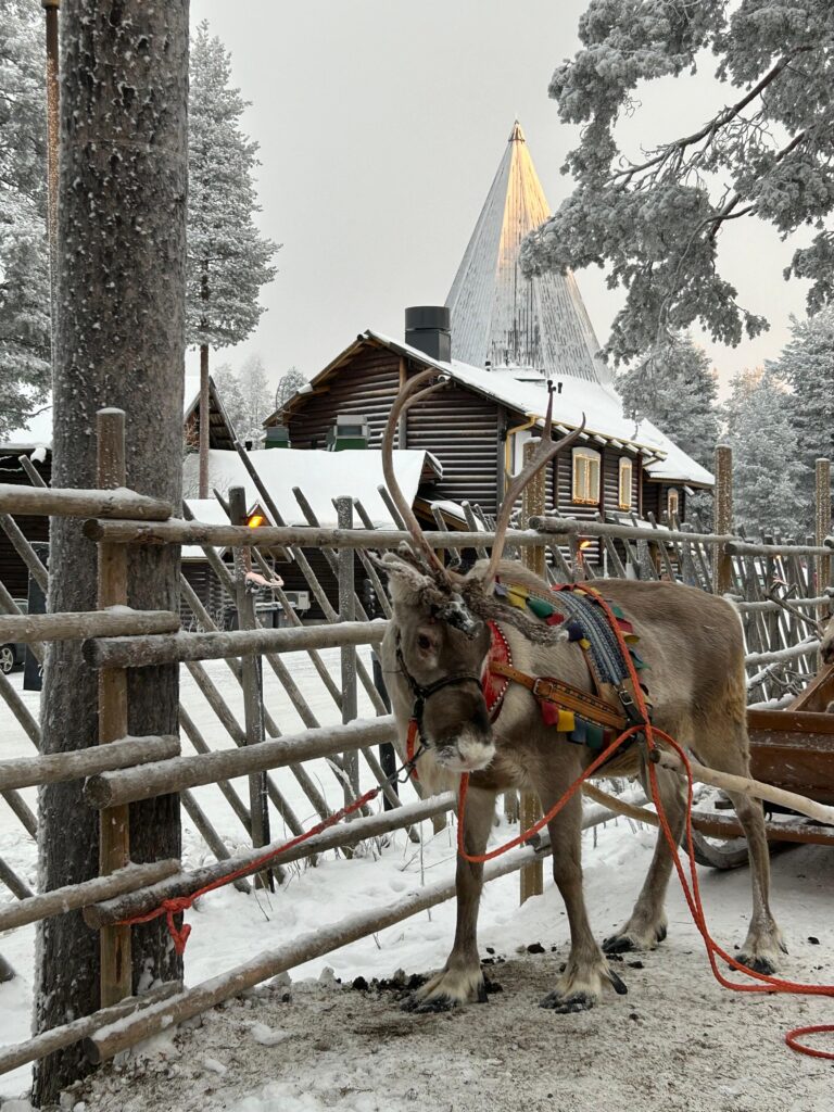 okp-lapponia-gruppo1 (1)