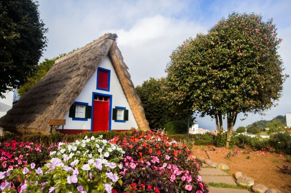 Foto dump 2 - okp-madeira (3)