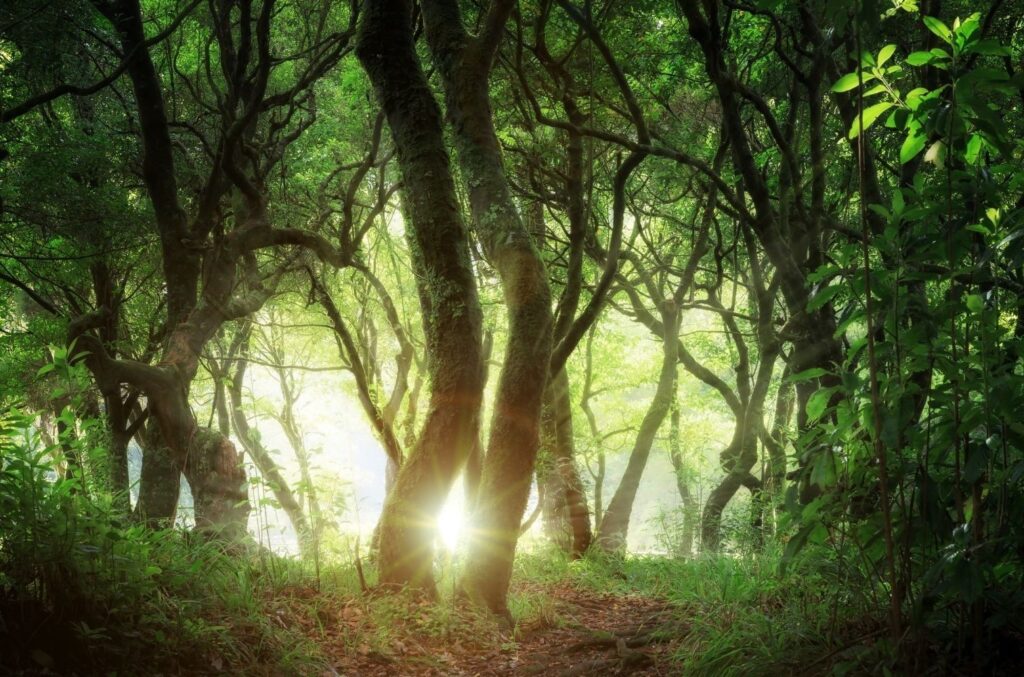 Foto dump 2 - okp-madeira